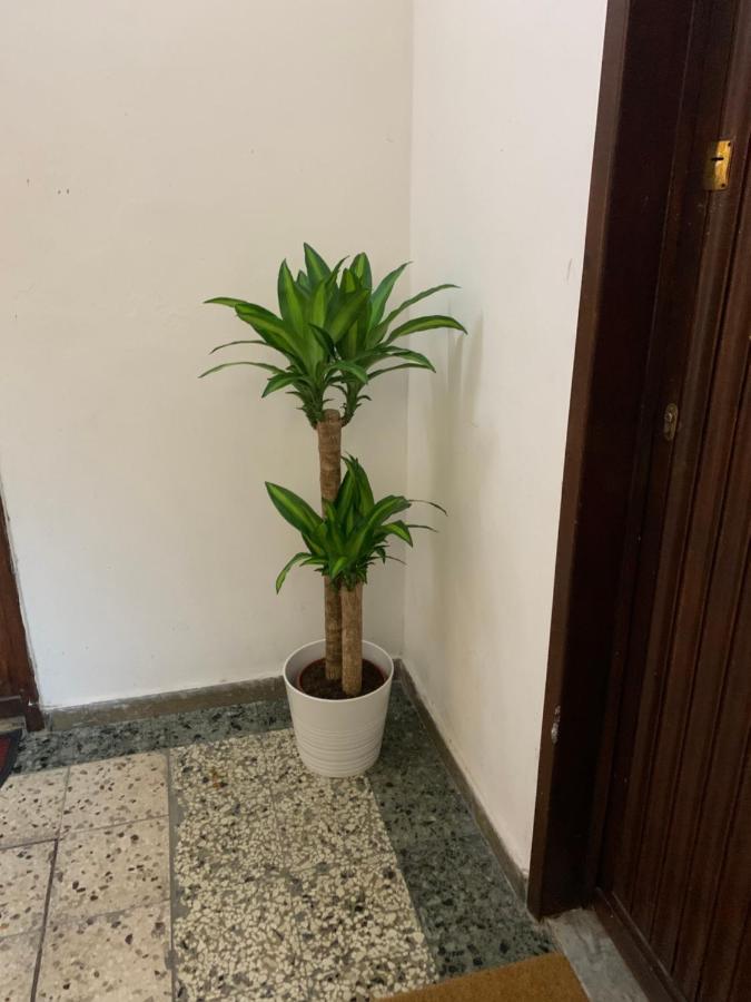 Pisa Train Station Guest House Εξωτερικό φωτογραφία